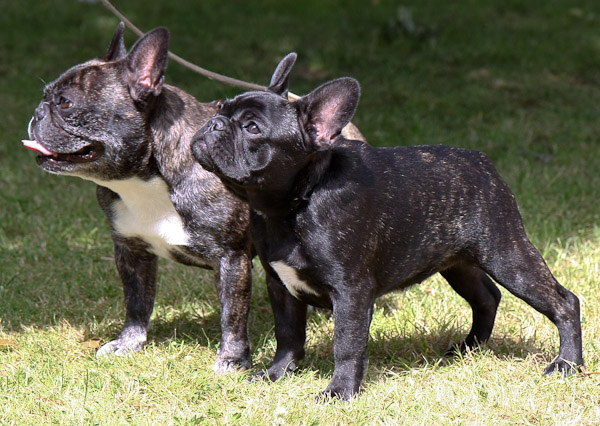 Luna and Lacy